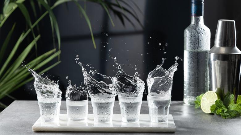 Shots of borovicka or gin